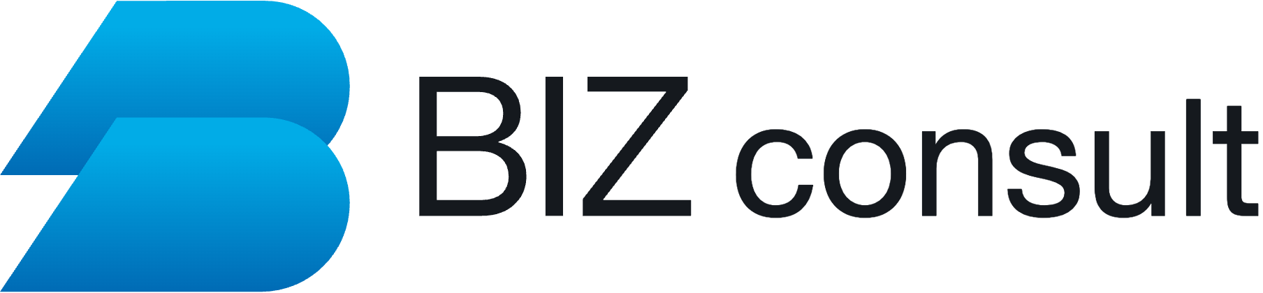 bizConsult